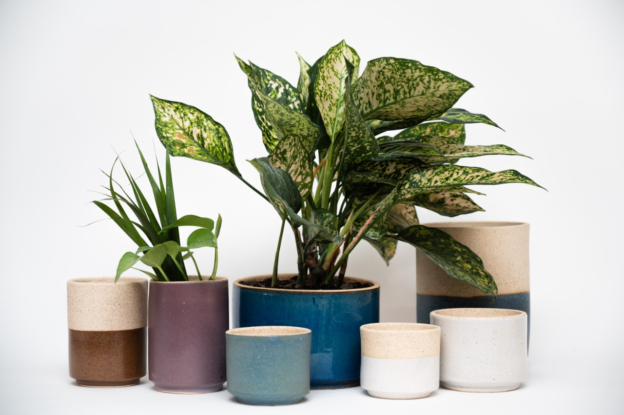 MACETAS / PLANTERS