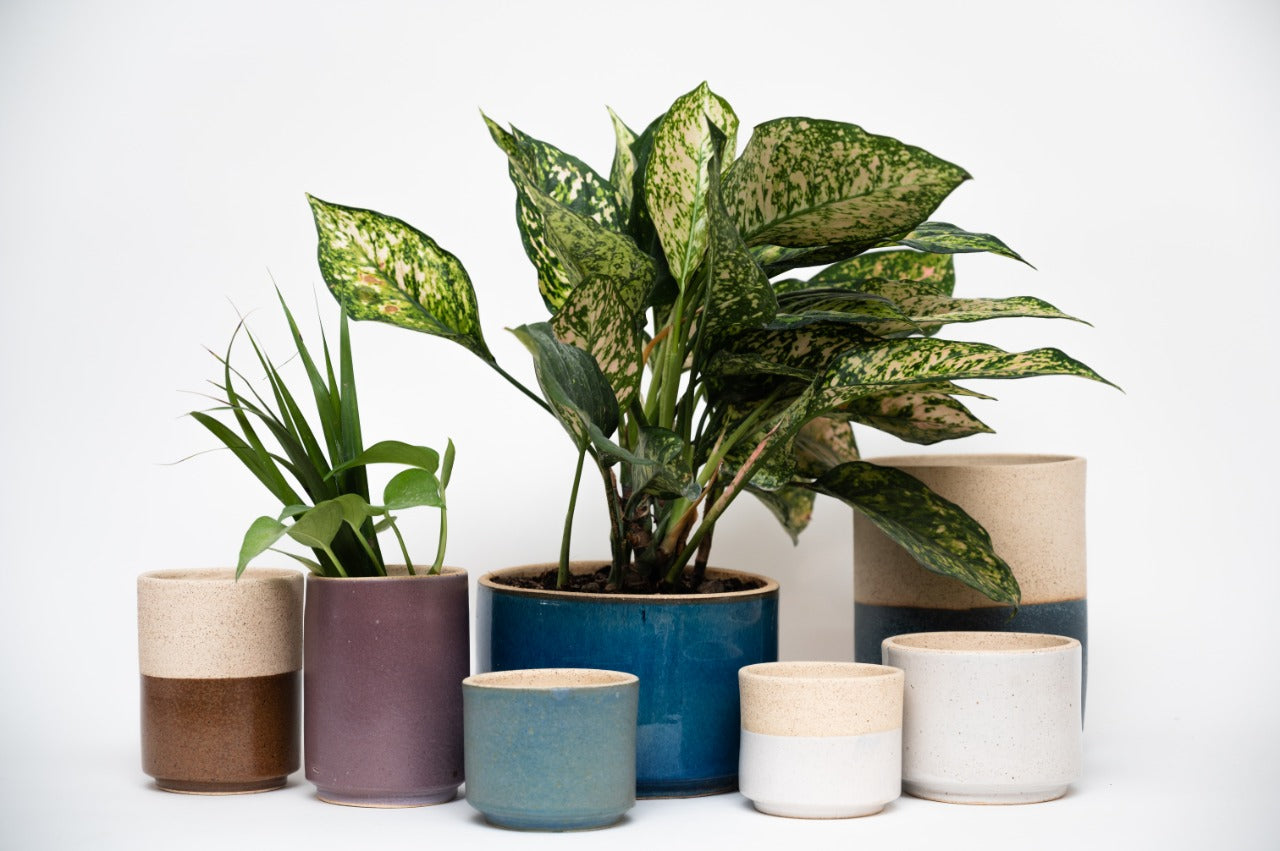 Maceta Alta Grande - Tall Large planter