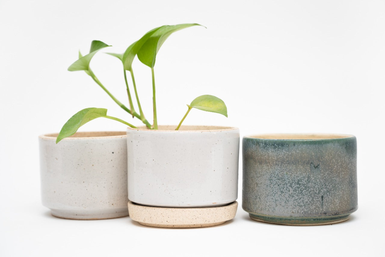 Maceta Baja Chica - Small Low Planter