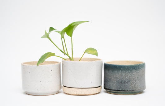 Maceta Baja Chica - Small Low Planter