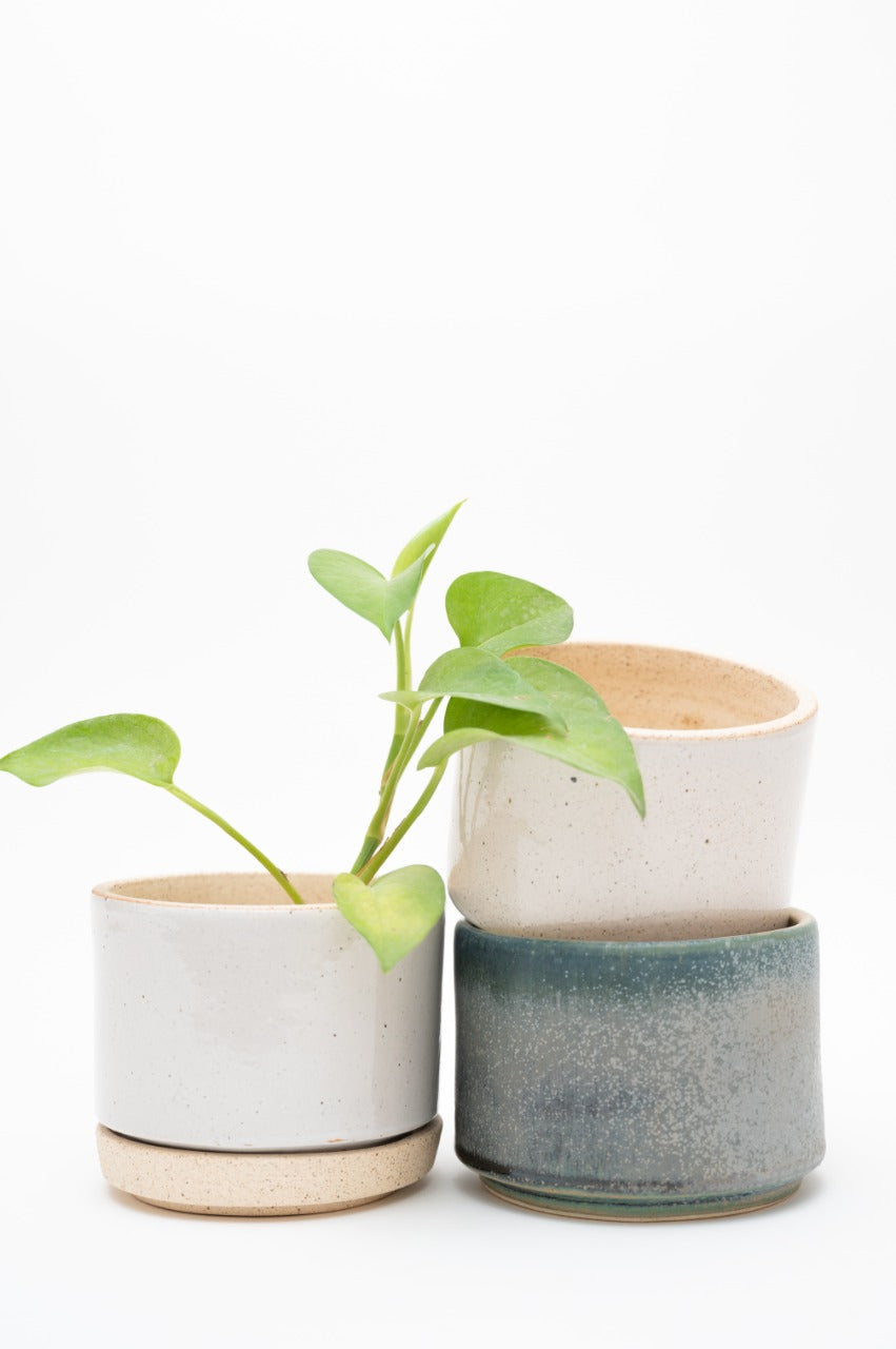 Maceta Baja Chica - Small Low Planter