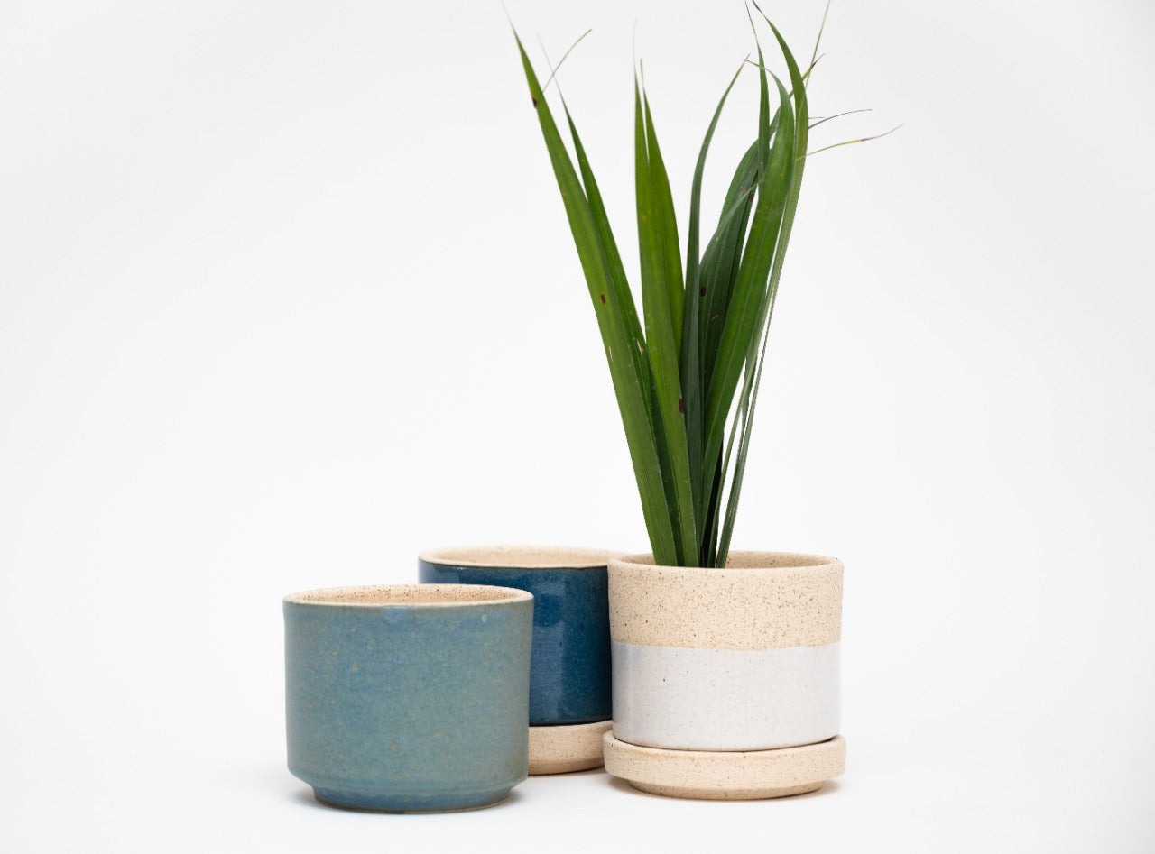 Maceta Baja Mini - Mini Low Planter